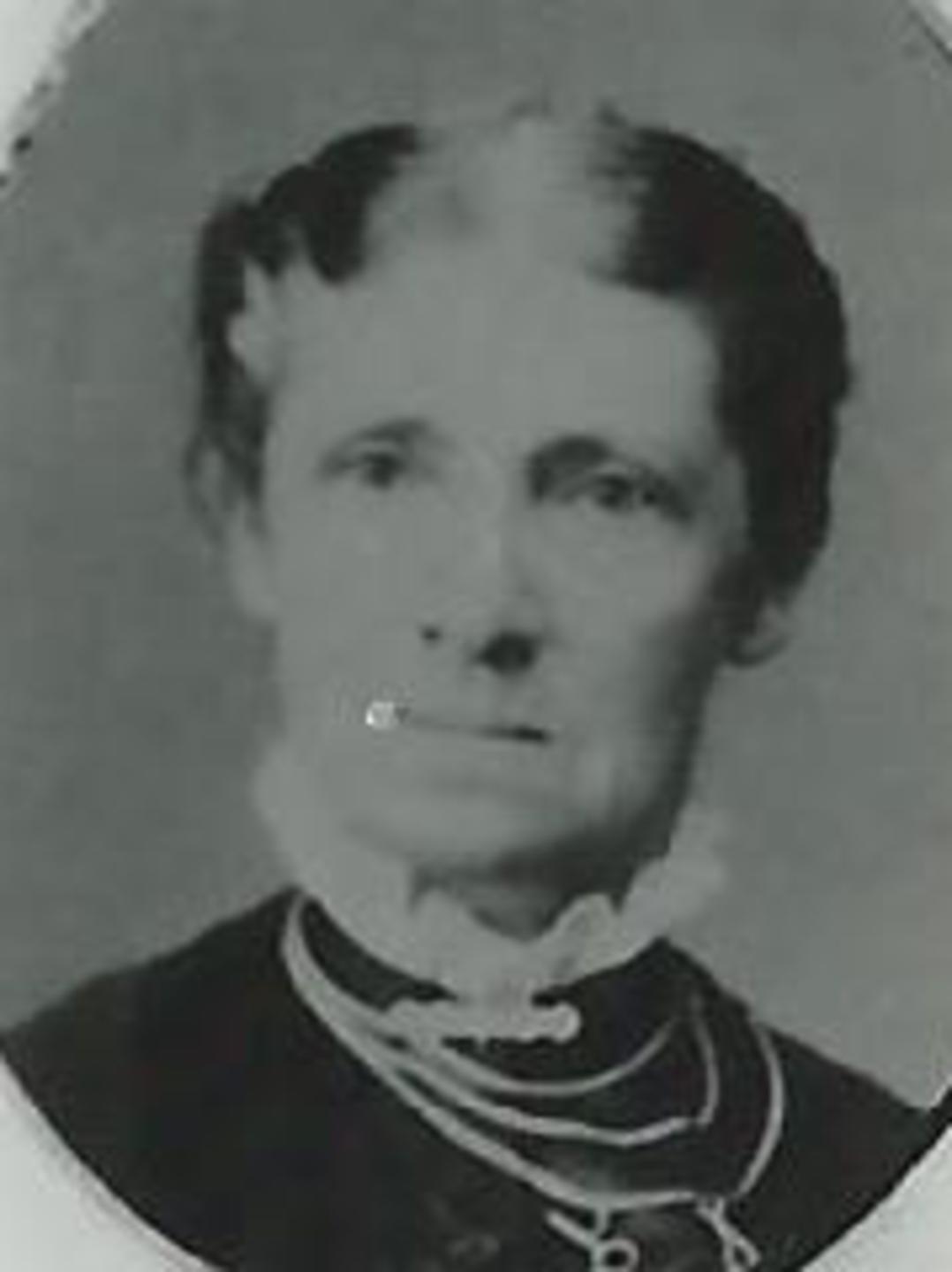 Malinda Wilcox Wood (1824 - 1913) Profile
